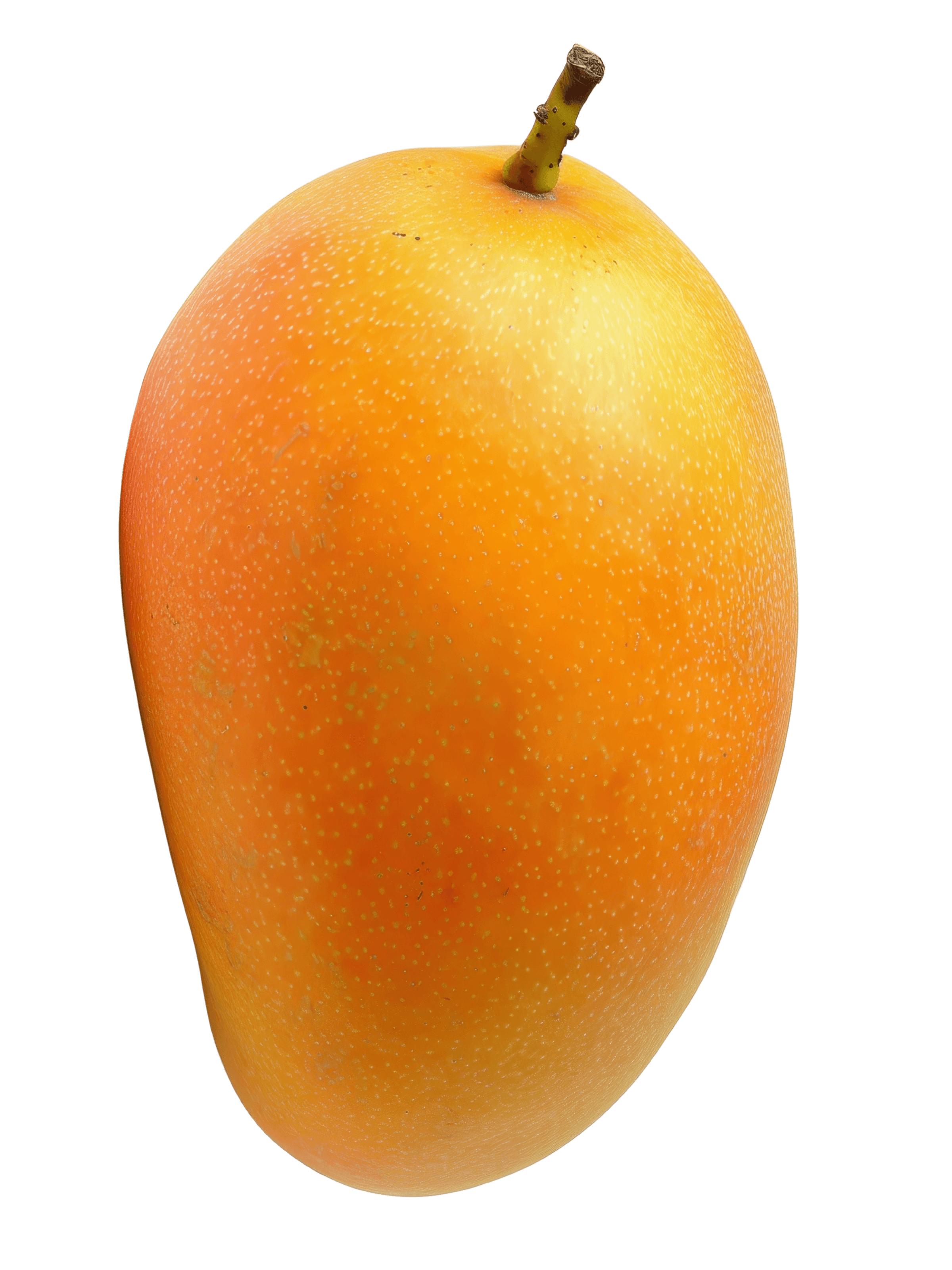 Fresh mangoes from Royal Gold Mangoes