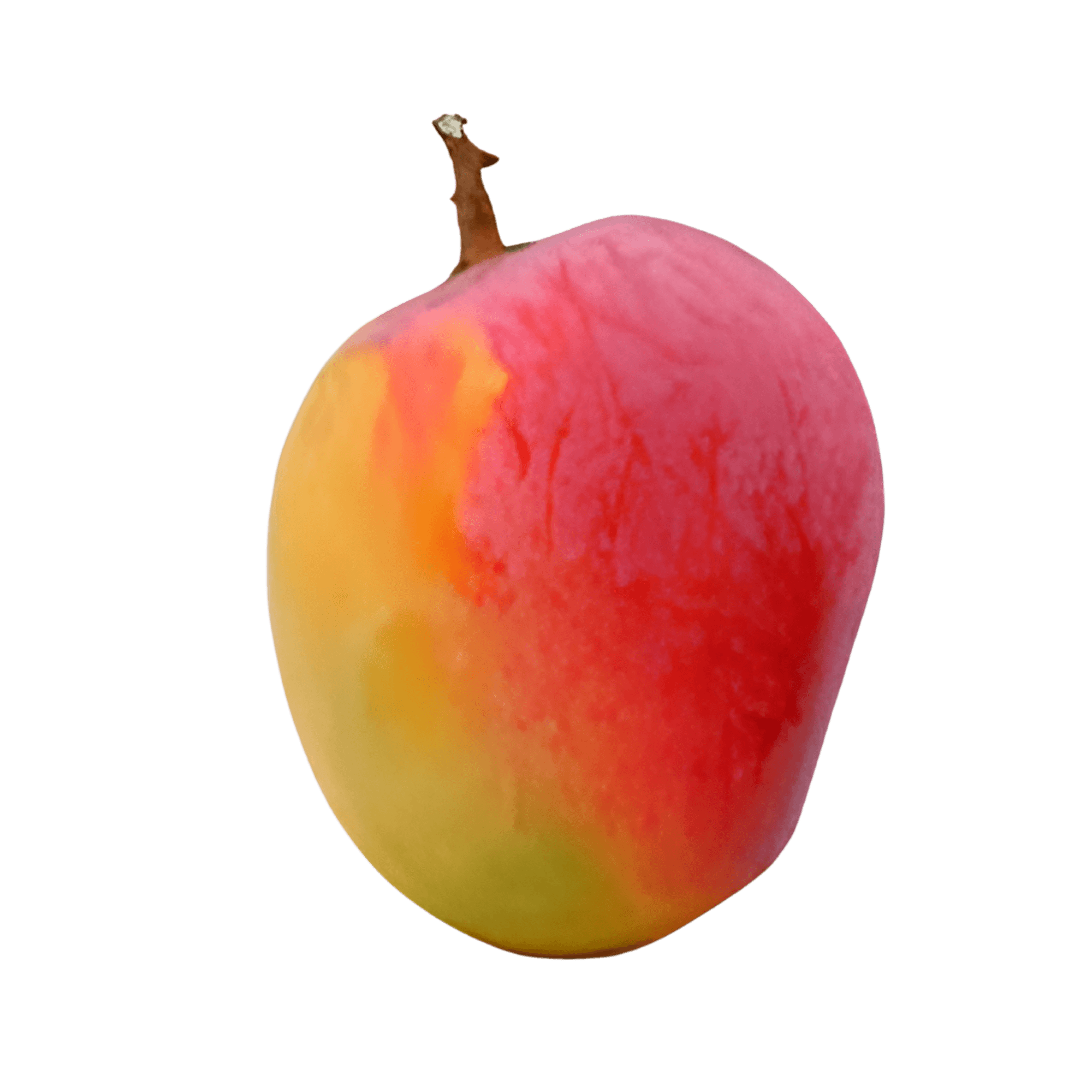 Sendura mango